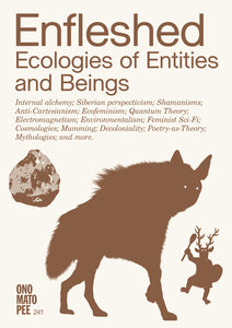 Enfleshed Ecologies of Entities and Beings