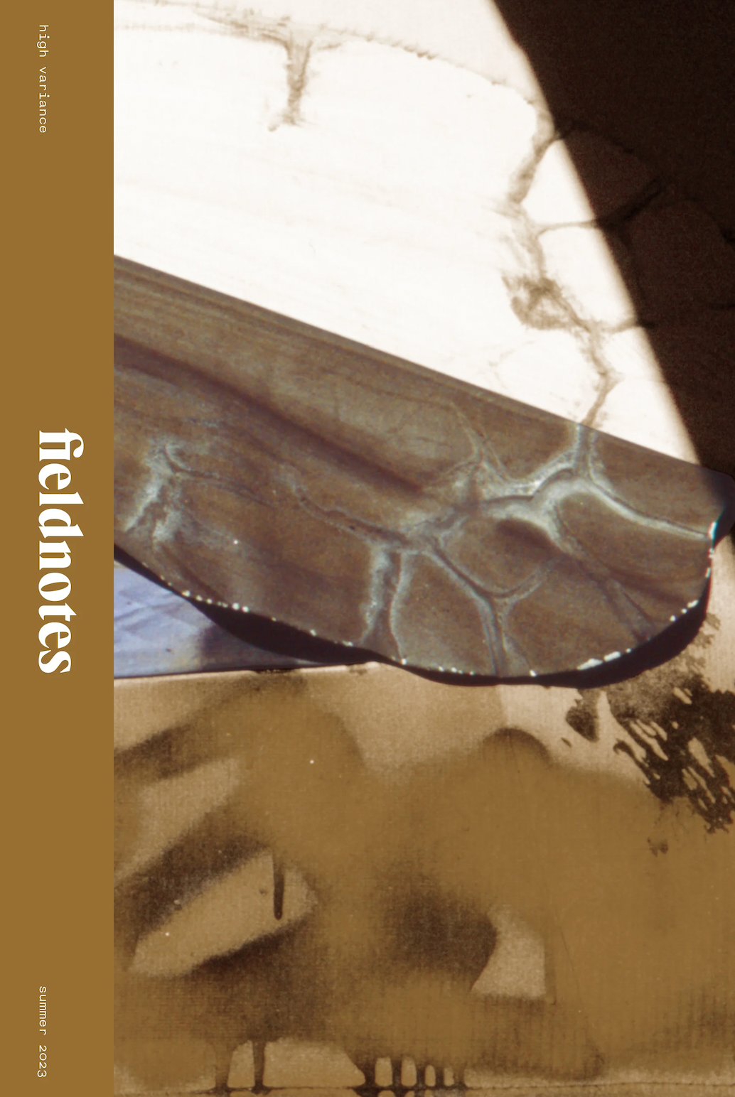 fieldnotes