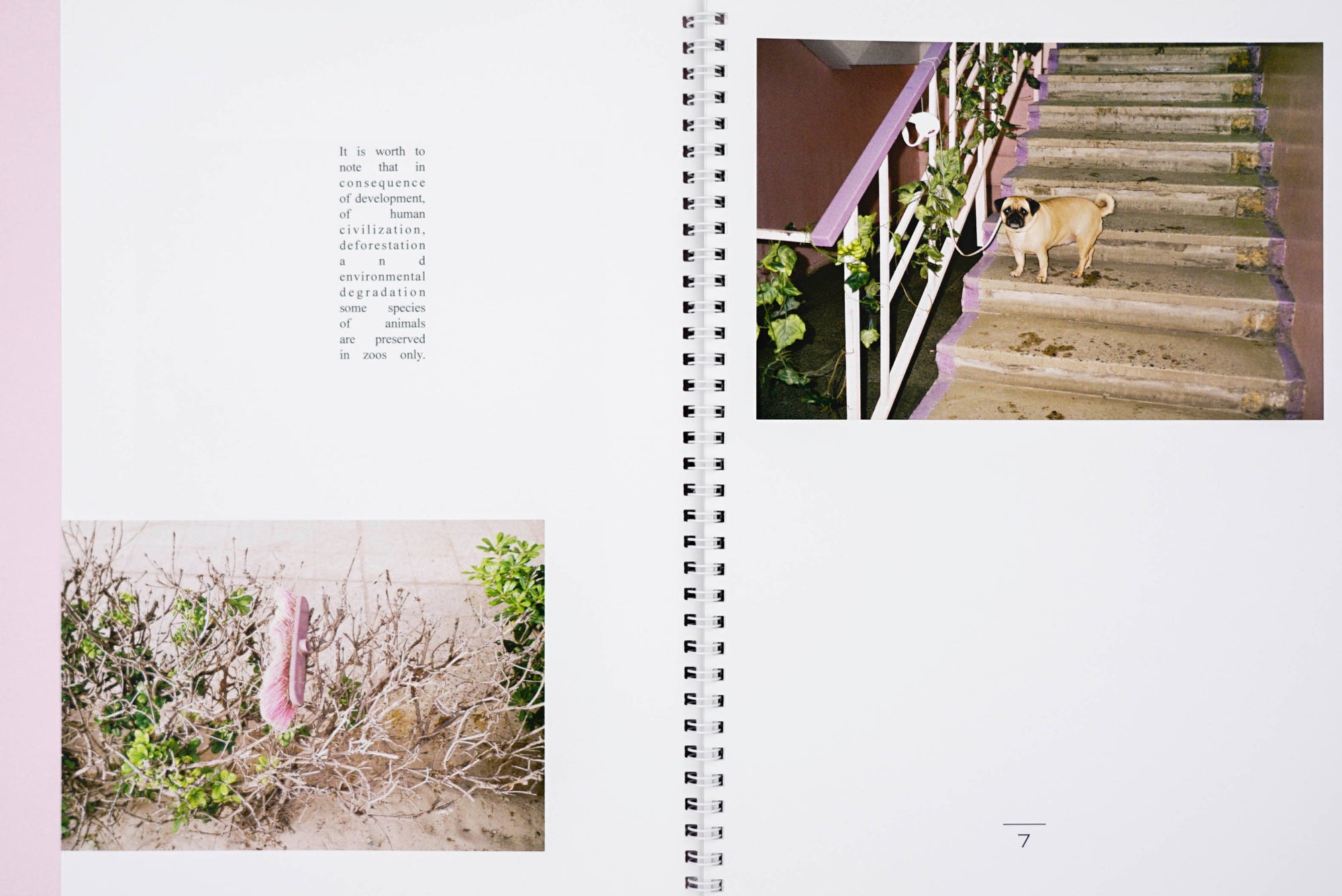 Two images in a book spread one of plants and the other of a dog on porch steps with serif type binded together by spiral rings