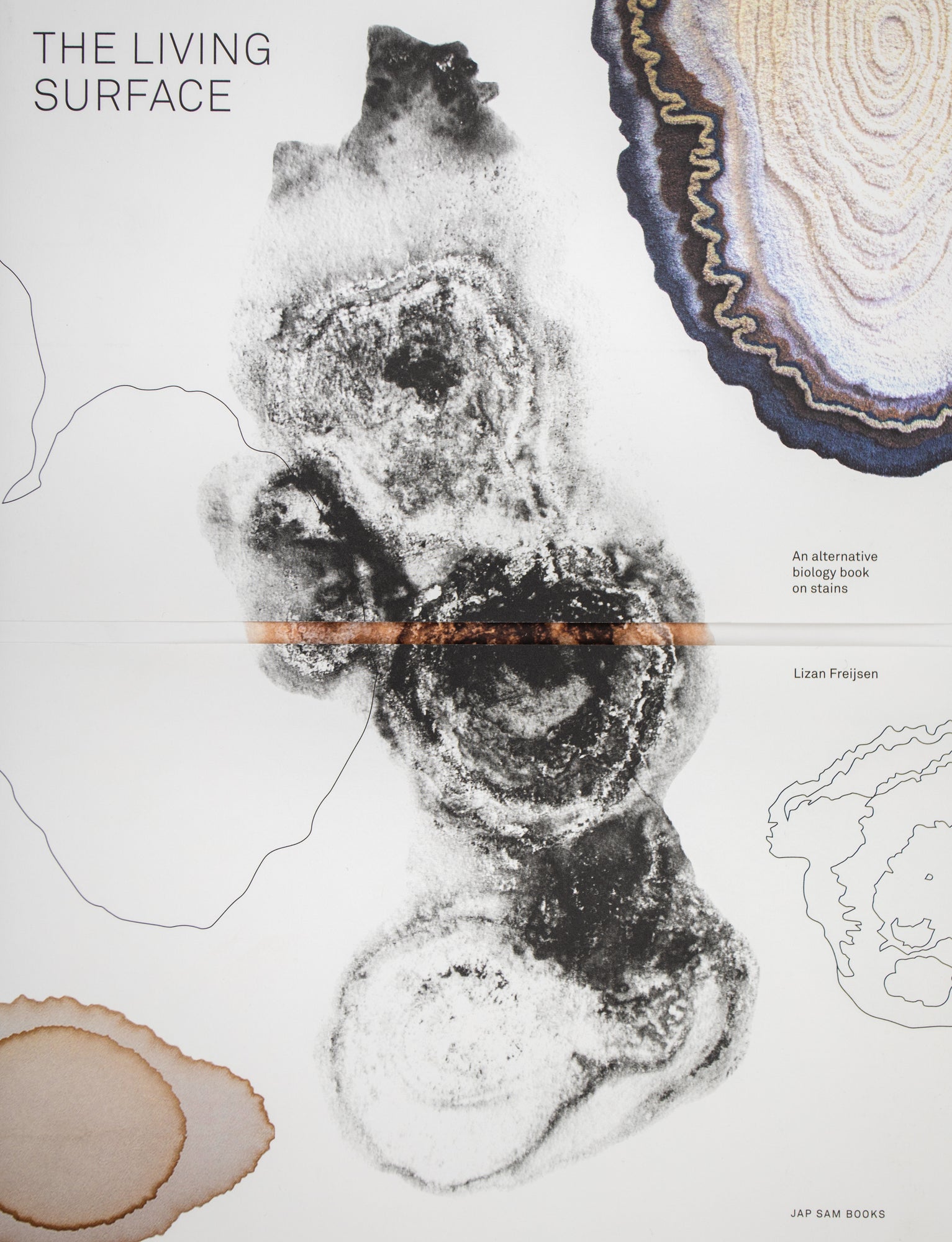The Living Surface (Second Edition)