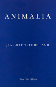 Animalia