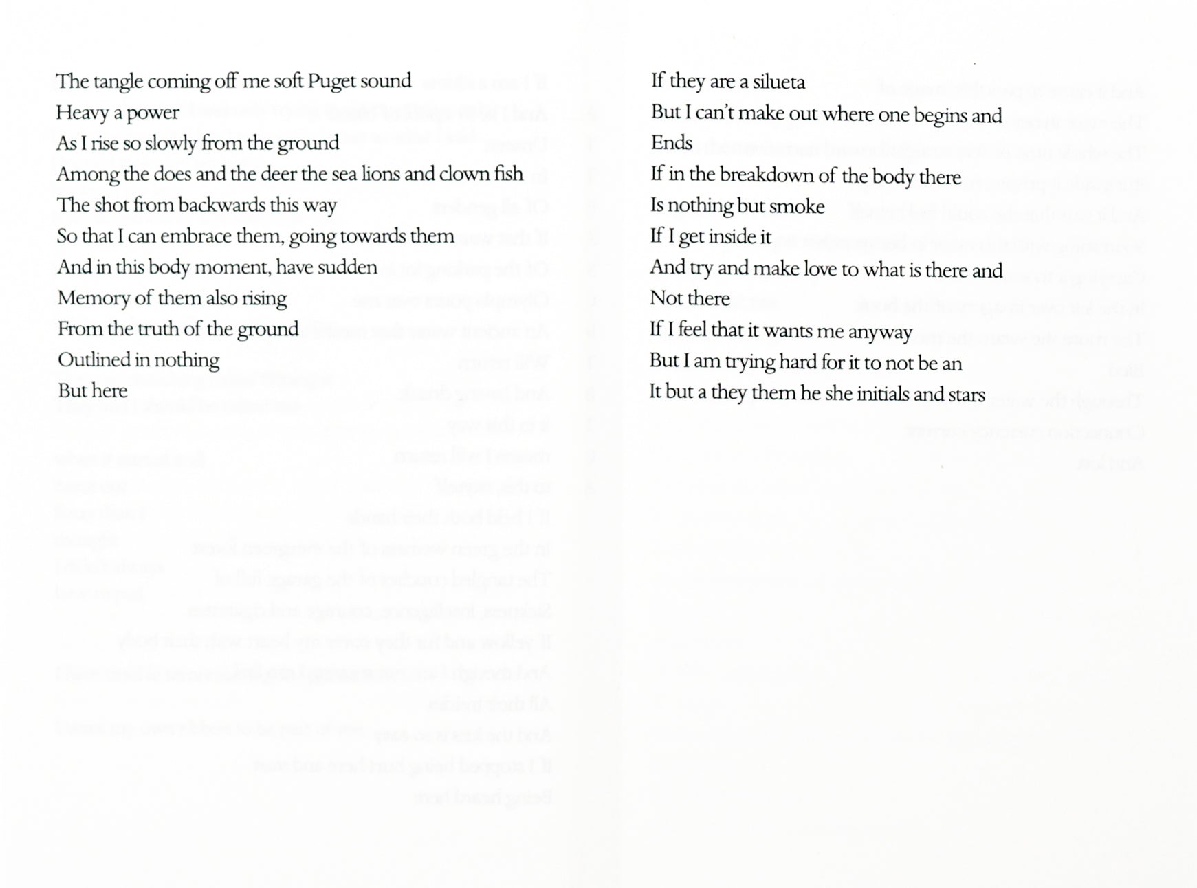 Excerpt of a poem by Melissa Buzzeo in black serif type on white backdrop