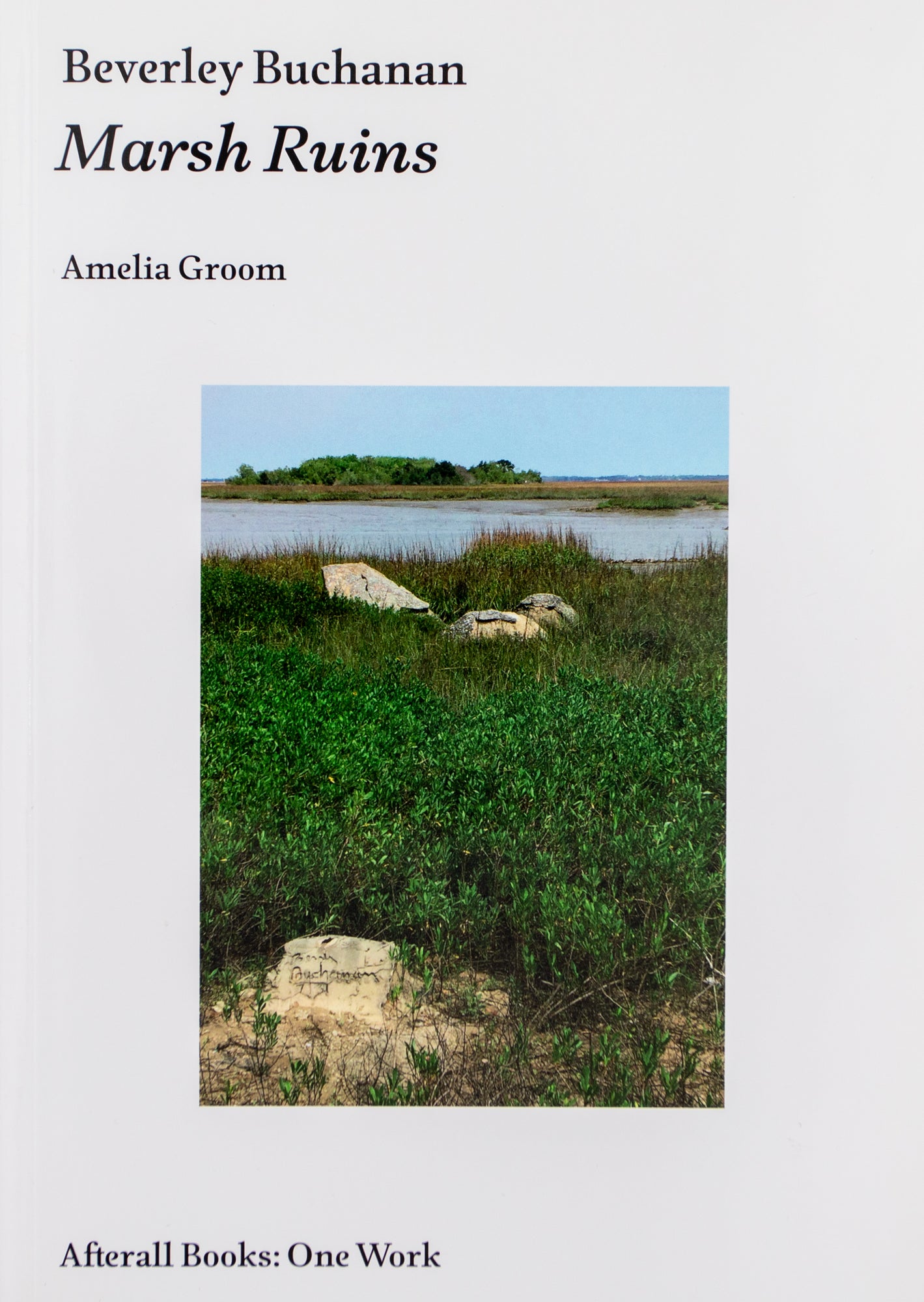 Beverly Buchanan: Marsh Ruins