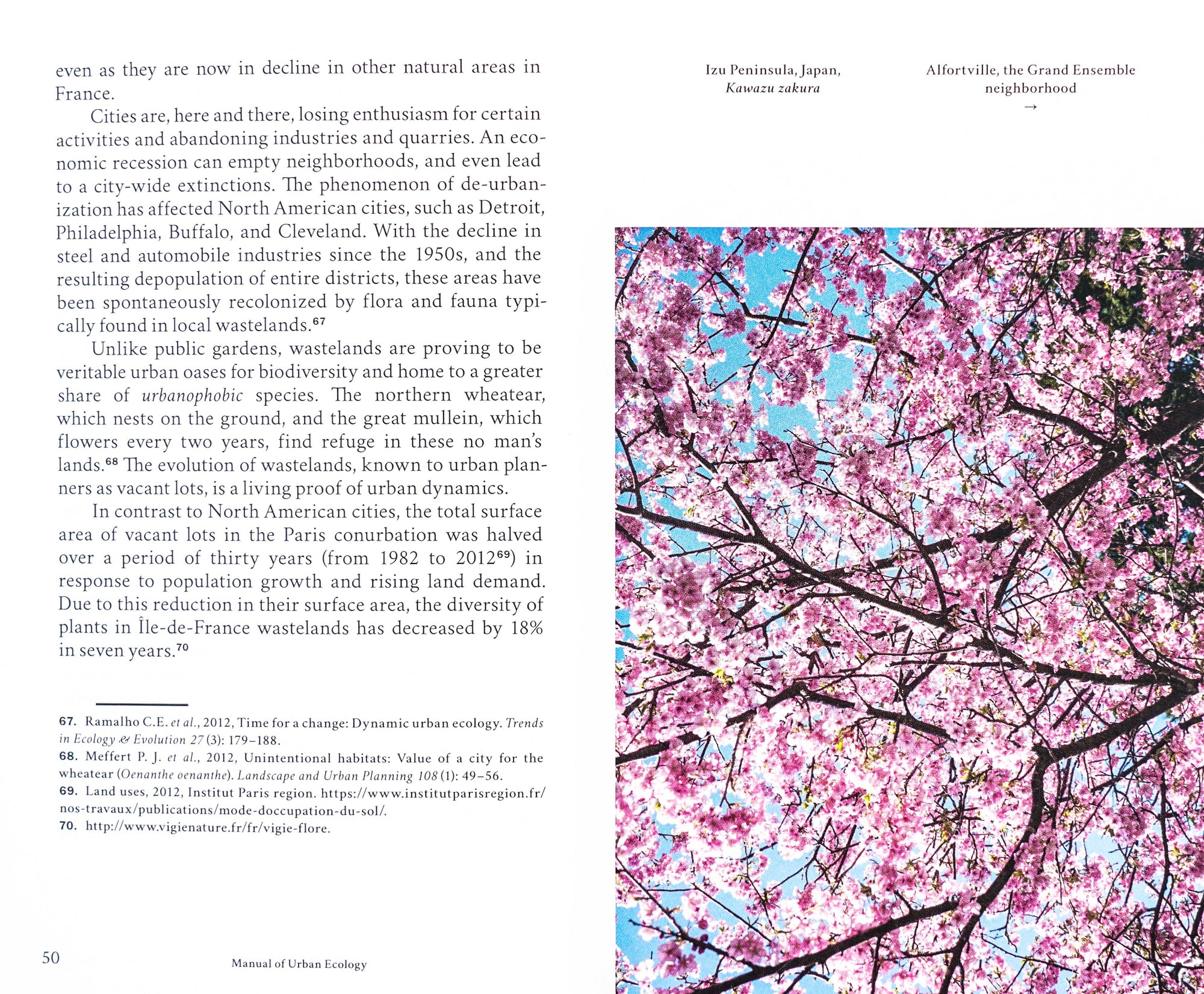 Spread of the pages 50 to 51 showing flow text and annotations at the bottom of the page on the left and a photo of a blossoming cherry tree on the right.