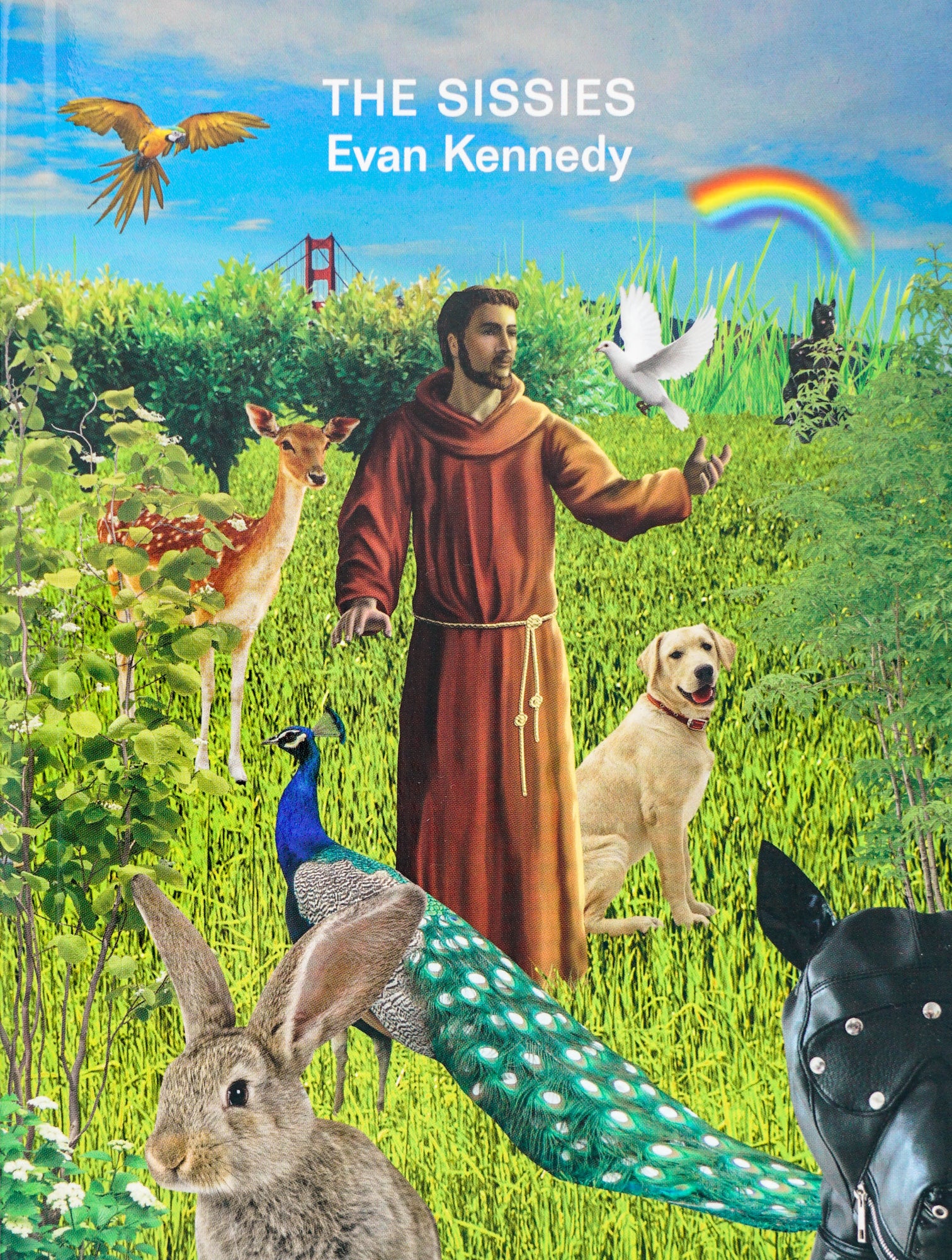 Cover showing a green lush photoshopped landscape with inserted pngs of several animals and objects. Centred stands a Jesus-like figure. At the top of the cover, centred, the title and name of the author reads in white, sans-serif text. 