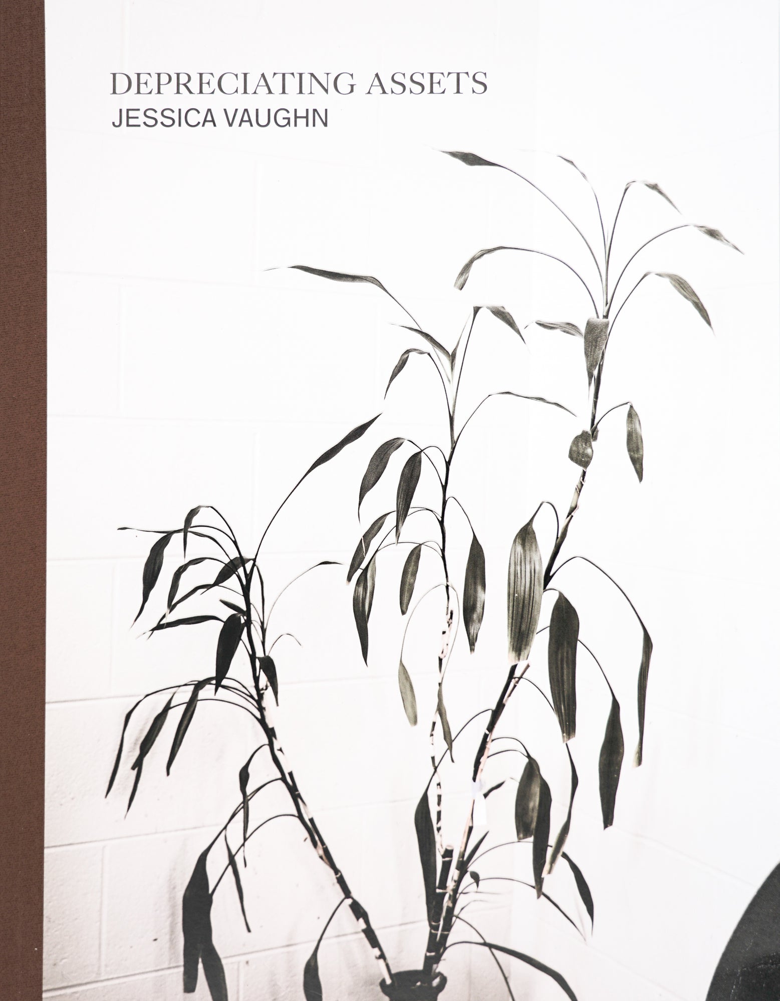 The cover shows a dark brown cloth bound spine to the left, while the rest of the cover is made up of a black and white photograph of an office plant. The plant appears a tad bit dried out. On the top left sits, aligned to the left, the title in capital serif type, with the author below in sans serif type.