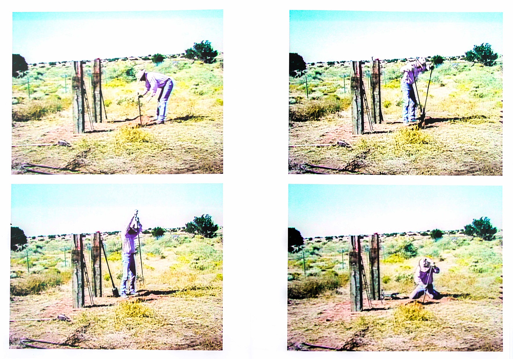 A spread depicting four video stills, two on each page, of a person kneeling, standing and handling a tool in a field. There is bushes and the vegetation in the background, while the sky looks clear.