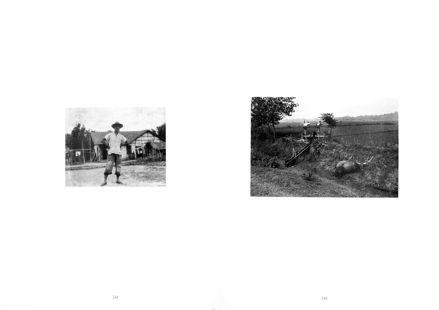 Spread of the pages 248 and 249, on the left page depicting a figure in a hat, standing in front pf what appears to be a village. On the right, we see workers on a field and a buffalo standing in a trench, looking towards the camera. Both images are black and white and sit centred on the respective pages.