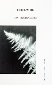 Winter Strangers
