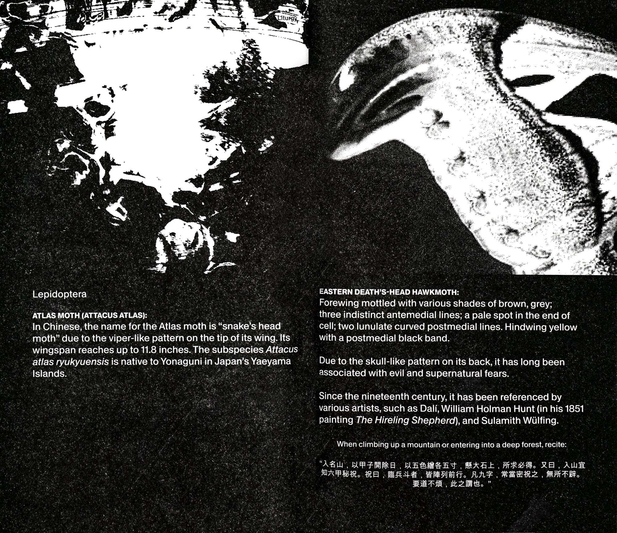 Book spread with monochrome black background. Both pages contain a black and white image of abstract shapes and a column of text beneath it in white sans serif writing. 