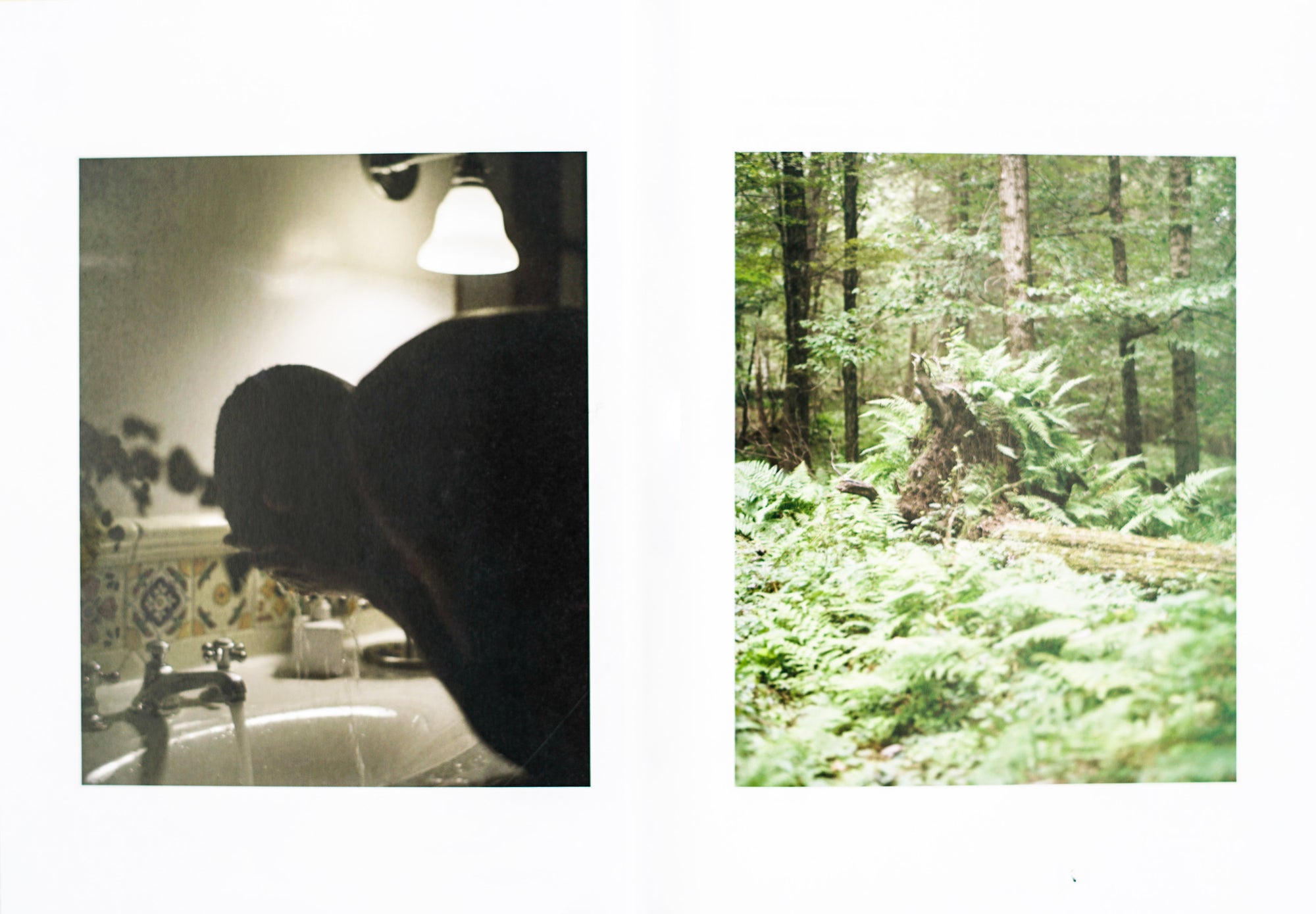 Book spread with white background and two colour photographies on each side. Left is a person bending over a sink washing their face in a bathroom. On the right page is a depiction of fern and trees in a forest.