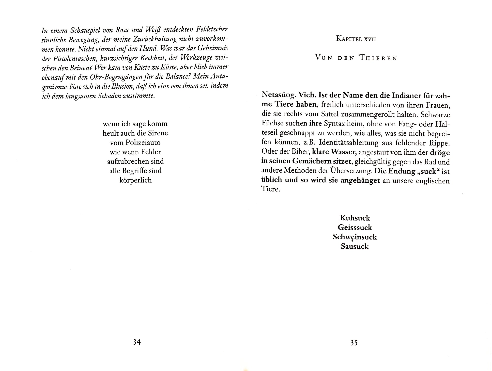 Ein Schlüssel zur Sprache Amerikas / A Key Into The Language of America