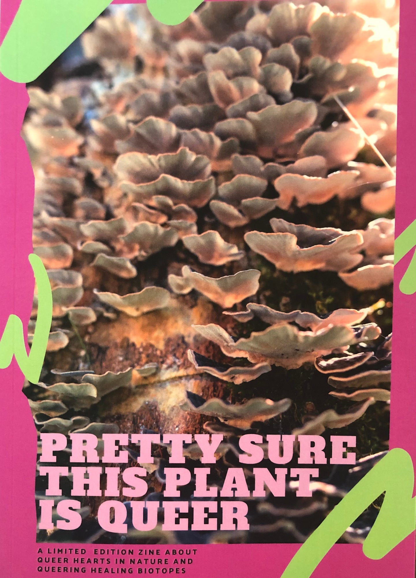 Pretty Sure This Plant is Queer