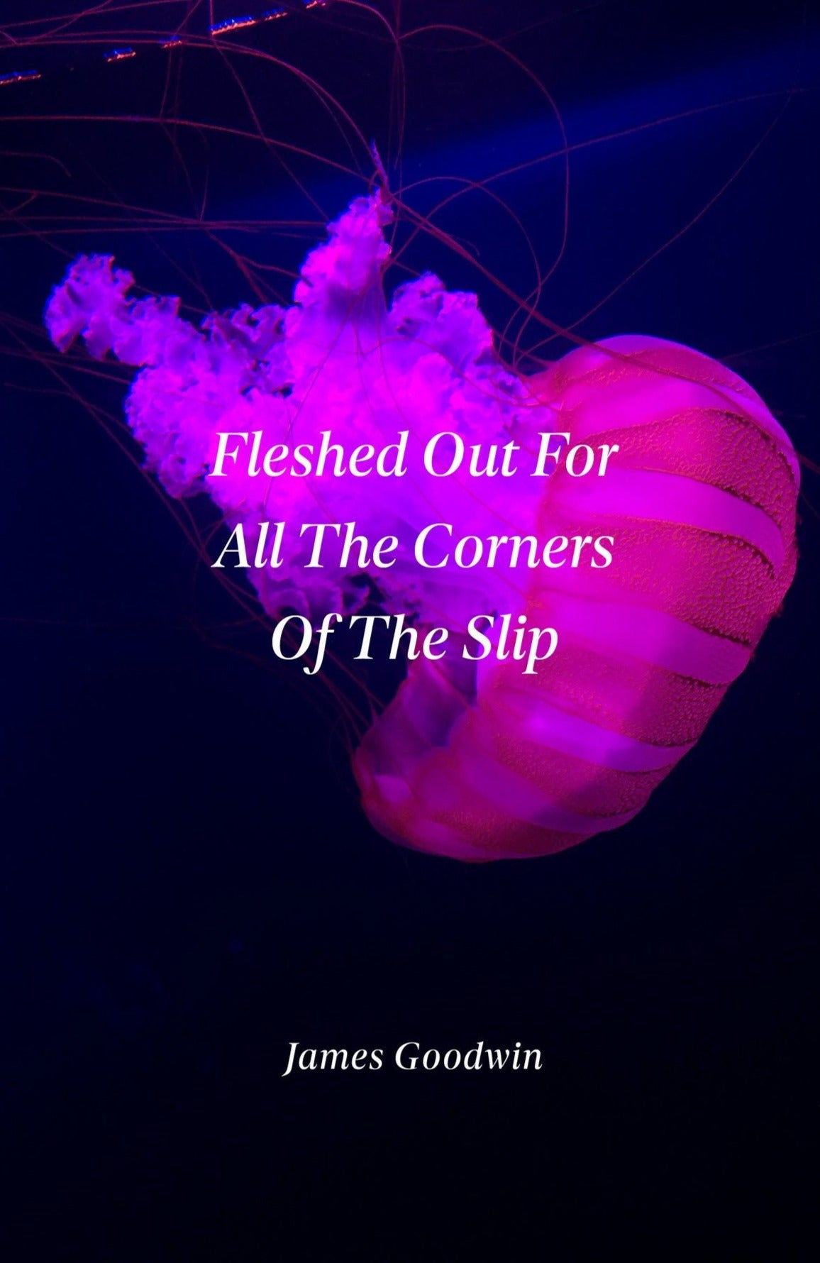 Fleshed Out For All The Corners Of The Slip