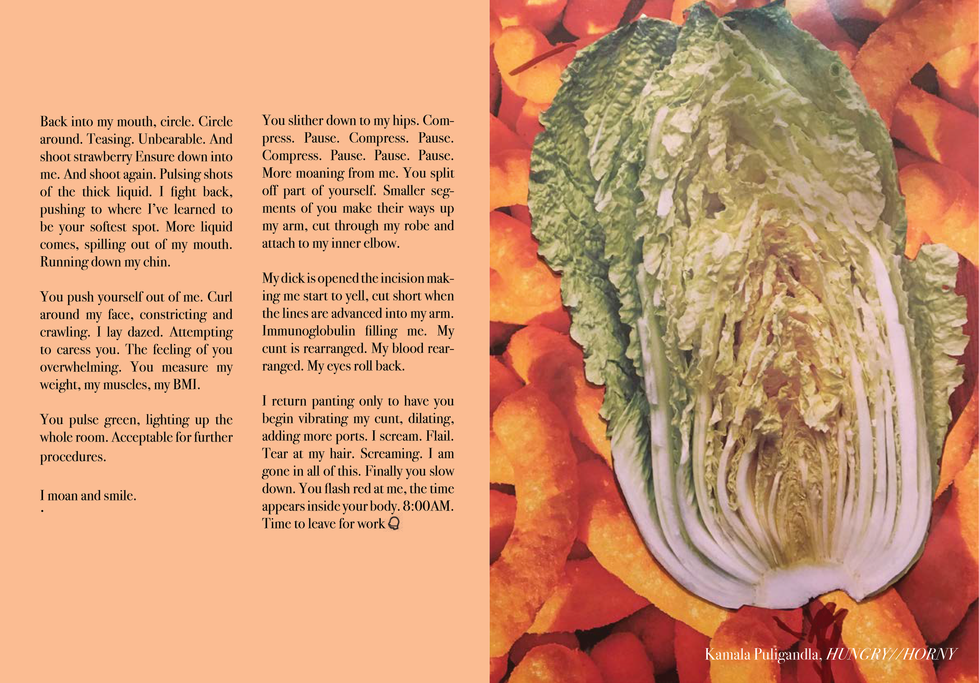 on the right a vertical section of Chinese cabbage lies on top of orange Cheetos. On the left two columns of text in black on a salmon pastel background