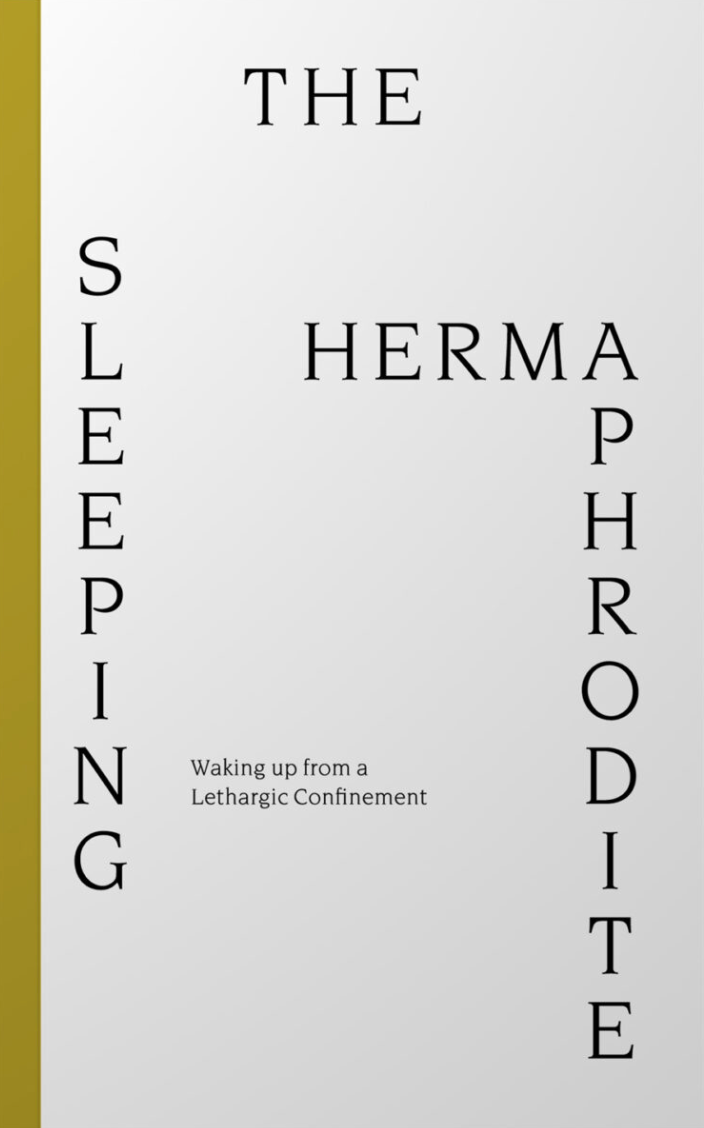 The Sleeping Hermaphrodite