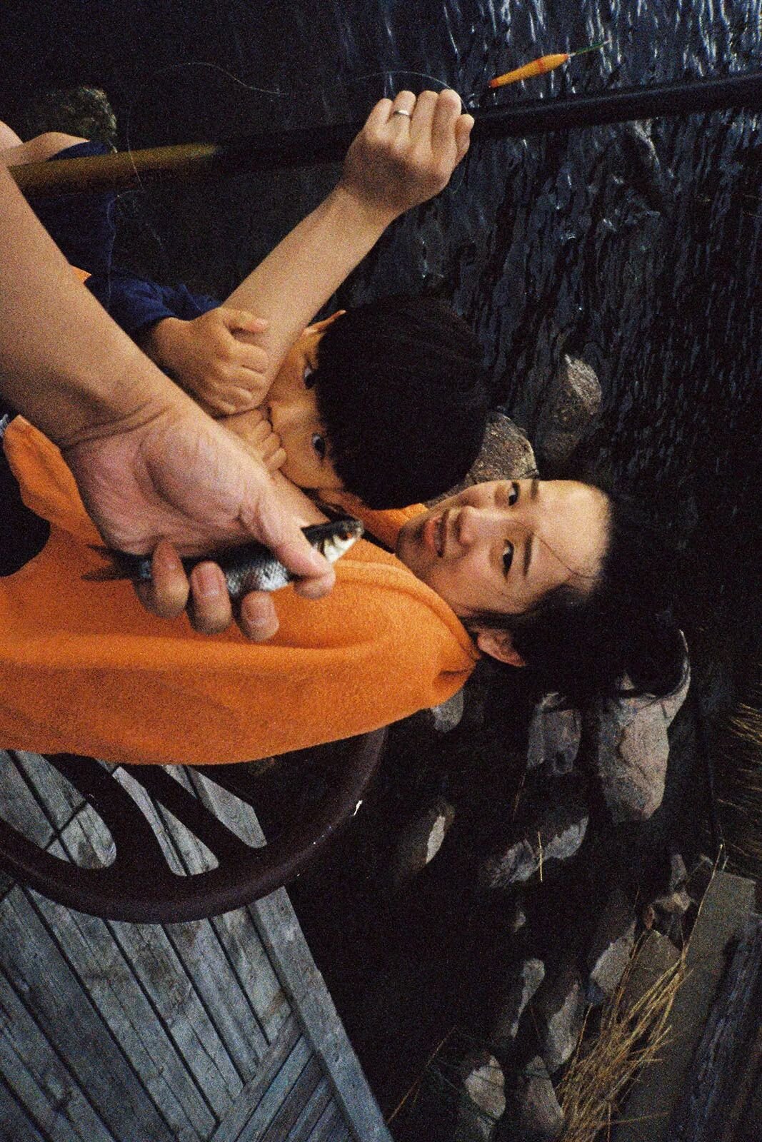 JUDY ZHU / 朱凤娟