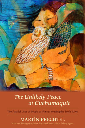 The Unlikely Peace at Cuchumaquic The Parallel Lives of People as Plants: Keeping the Seeds Alive Martín Prechtel in white serif type over a clay backdrop with a watercolor image of figure holding corn and smaller figures in earth tones